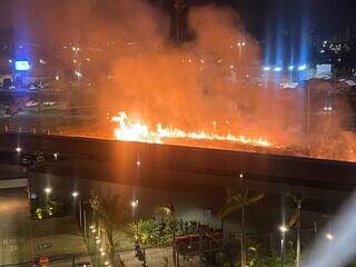 Incêndio em vegetação situada na Avenida Ministro João Arinos, em Campo Grande. (Foto: Direto das Ruas)