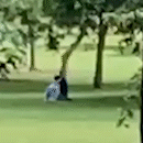Vídeo mais visto da semana é de casal fazendo sexo em parque