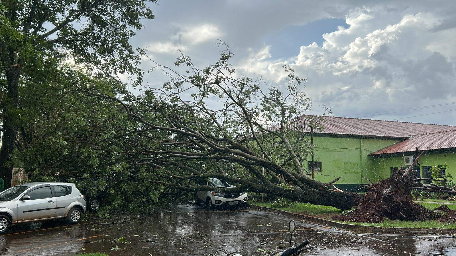 Tempestade de minutos derruba árvores e danifica veículos