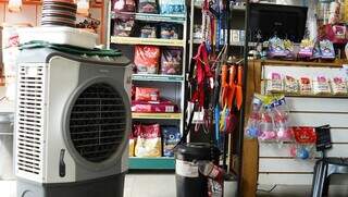 Climatizador, computador e lâmpadas são os únicos equipamentos que consomem energia em loja (Foto: Alex Machado)