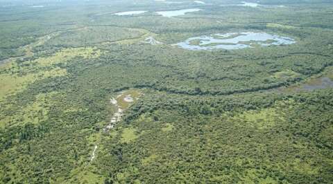 Projeto da Lei do Pantanal chegará aos deputados até dia 24, garante Riedel