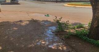 Homem &eacute; socorrido em estado grave ap&oacute;s ser esfaqueado nas costas