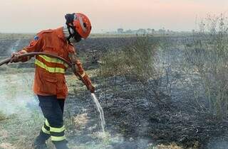 Beigadista combatendo incêndio na região pantaneira. (Foto: Governo de MS)