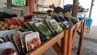 Alimentos produzidos na horta embalados para venda (Foto: Ana Beatriz)