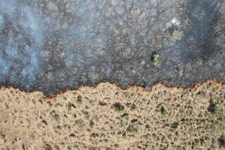 Imagem aérea de incêndio consumindo o bioma durante estiagem no Pantanal (Foto: Divulgação)