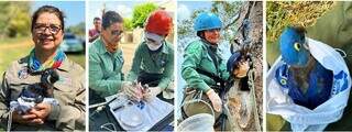 A presidente do Instituto Arara Azul, Neiva Guedes, e equipe conseguiram retirar as araras-azuis da lista de espécies ameaçadas (Foto: Divulgação)