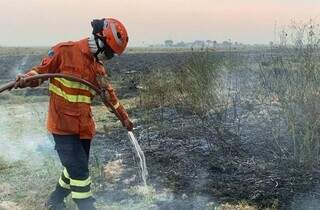 Bombeiro trabalhando em combate a incêndio (Foto: Governo de MS/Divulgação)
