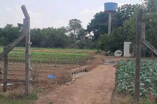 Horta fechada para irrigação no Tiradentes (Foto: Ana Beatriz)