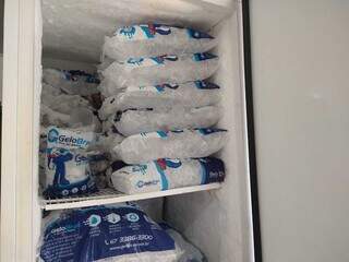 Freezer com estoque repleto de gelo (Foto: Idaicy Solano)