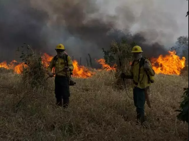 Corpo de Bombeiros faz reunião e monta força-tarefa para conter fogo no Pantanal