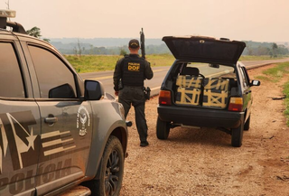 Entorpecente estava no porta-malas do veículo, que tem placas de Goiânia (GO). (Foto: Reprodução/DOF)