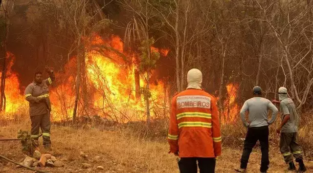 Governo decreta emerg&ecirc;ncia por inc&ecirc;ndios em 5 cidades de Mato Grosso do Sul