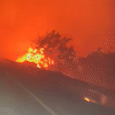 Vídeo impressionante mostra fogo "engolindo" região do Buraco das Piranhas