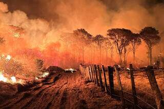 No Pantanal, incêndio mostra as consequências de forte calor e baixa umidade (Foto/Divulgação)