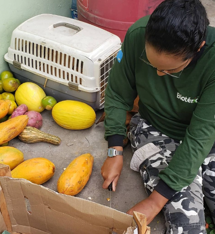 Campanha arrecada alimentos para animais v&iacute;timas de inc&ecirc;ndios no Pantanal 