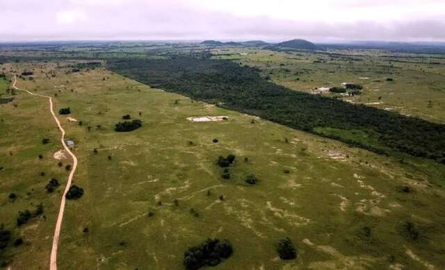 Venda de carne para a Europa ampliou desmate no Pantanal, mostra estudo