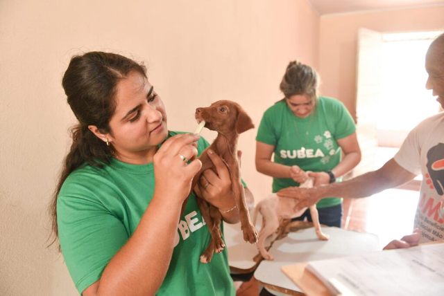 Prefeitura leva atendimento veterin&aacute;rio itinerante a duas regi&otilde;es