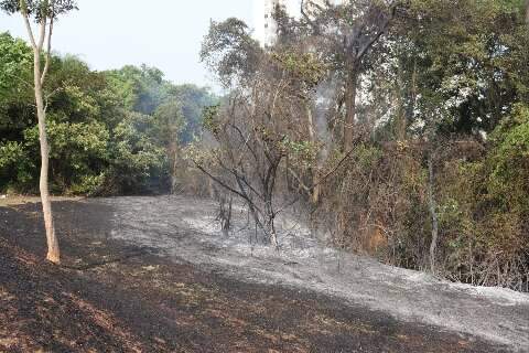 Bombeiros usam 400 litros de água para conter fogo em terreno e canteiro central