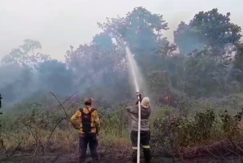 Chuva acaba com 97% dos focos de incêndios no Pantanal e combate continua