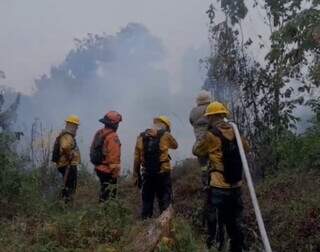 Equipes combatem fogo no Alto Pantanal (Foto: Instituto Homem Pantaneiro)