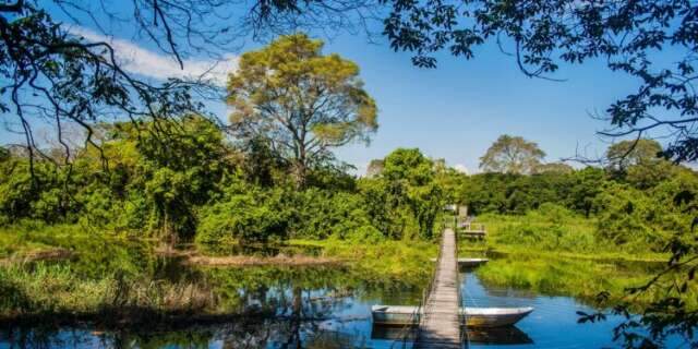 M&aacute; vontade pol&iacute;tica faz Pantanal esperar dinheiro h&aacute; mais de 20 anos