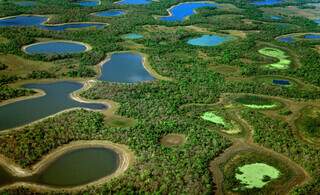 Investimentos para recuperação e conservação do Pantanal voltam a ser discutidos (Foto: Saul Schramm)