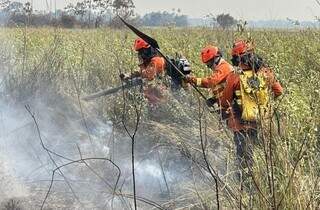 Equipes de bombeiros trabalham no combate a incêndios no Pantanal. (Foto: Governo MS)