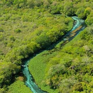 Imagem aérea do rio da Prata, em Bonito, onde água é cristalina (Foto: PMA)