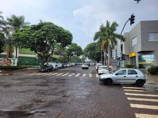 Chuva foi passageira no Jardim dos Estados, em Campo Grande (Foto: Direto das Ruas) 