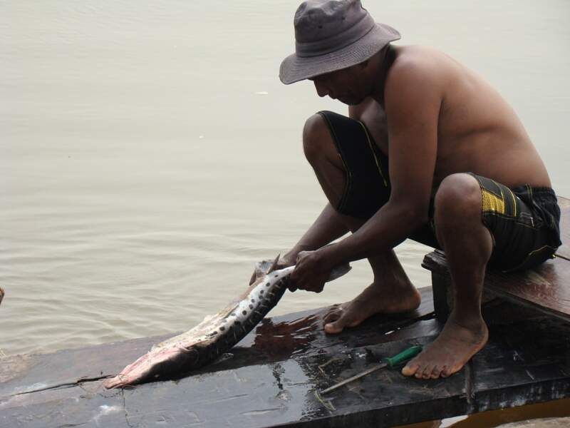 MS é o terceiro Estado com o menor número de pescadores profissionais ativos 