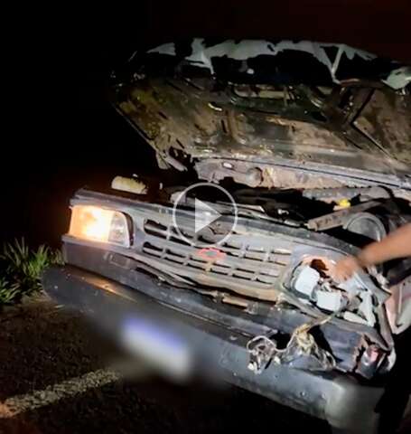 Borracheiro tem camionete destru&iacute;da ap&oacute;s atropelar boi que fugiu de fazenda 