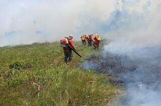 Brigadistas tentam conter fogo no Pantanal de Paiaguás, em MS (Foto: Divulgação/IHP)