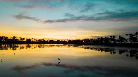 Pantanal que fotógrafo vê desde os 5 anos vira exposição cheia de cores