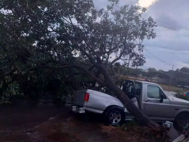 Temporal em Campo Grande destelha oficina mec&acirc;nica e derruba &aacute;rvore sobre picape