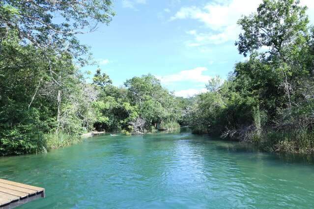 Empresa perde licen&ccedil;a ap&oacute;s extrapolar decks no Rio Formoso