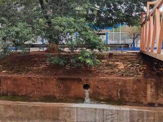 Área de despejo próximo a passarela de pedestres (Foto: Marcos Maluf)