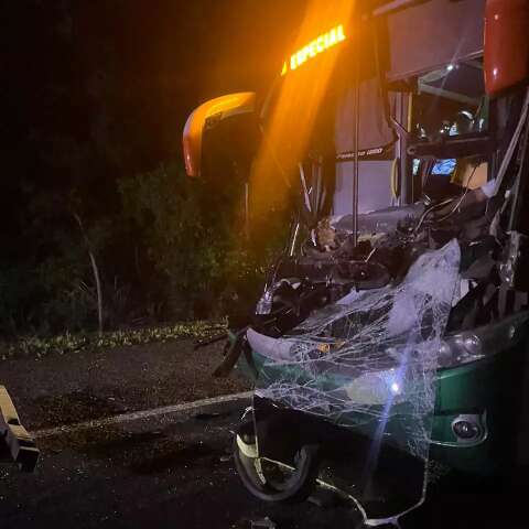 Motorista de &ocirc;nibus tem ferimentos graves ap&oacute;s acidente na BR-262 