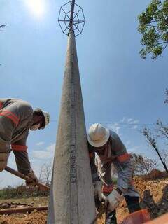 Funcionários anexando o poste que sustenta o ninho; mesma tecnologia usada para energia (Foto: Energisa)