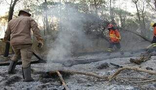 Bombeiros em combate ao fogo este mês no Pantanal, que destriu 1 milhão de hectares do bioma (Foto/Divulgação)