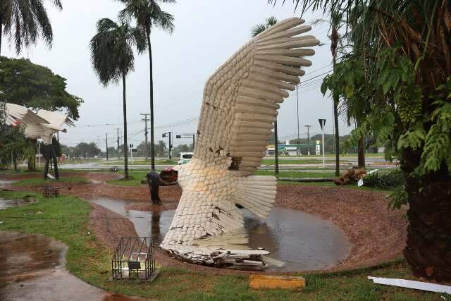 Escultura de tuiuiú do Aeroporto de Campo Grande cai durante temporal