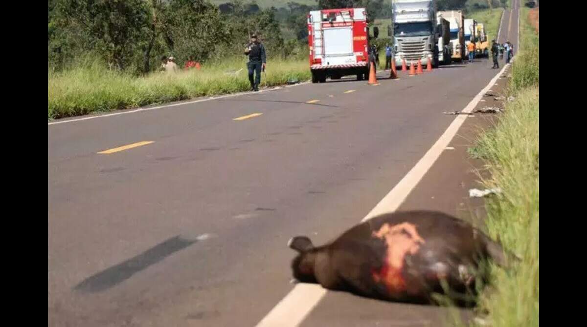 Após mais uma morte, Prefeitura suspende provas de moto em