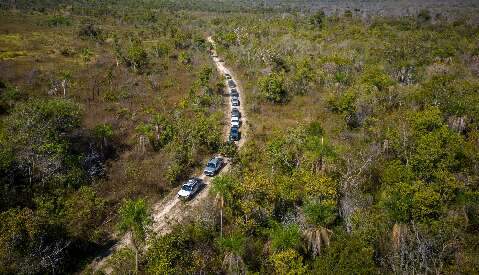 De zoológico dos EUA a gente famosa, quem patrocina a conservação do Pantanal? 