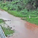 Em dias de chuva, moradores da Capital ficam ilhados e ruas viram “rios”