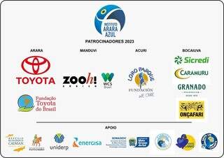 Reprodução das classificações de patrocinadores do Instituto Arara Azul de 2023 (Foto: Reprodução)