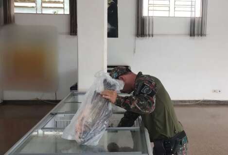 Estoque com 70 kg de peixe irregular é apreendido em peixaria da Capital