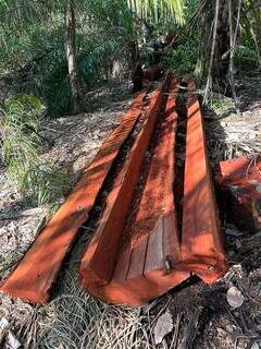 Toras de madeiras extraídas da Terra Indígena. (Foto: Funai/MS)