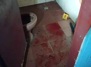 Havia muito sangue na casa, inclusive no banheiro (Foto: divulgalçao / Polícia Civil)