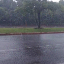 Sob alerta de temporal, chuva com vento atinge Campo Grande nesta tarde