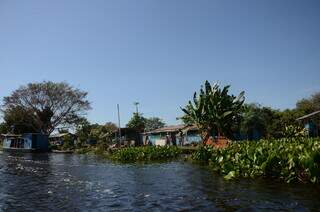 Como fica o Pantanal em época de cheia (Foto: Divulgação/Viviane Amorim)