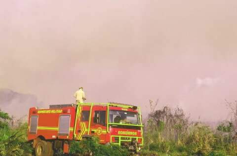 Até outubro, bombeiros extinguiram 12 grandes incêndios florestais em MS